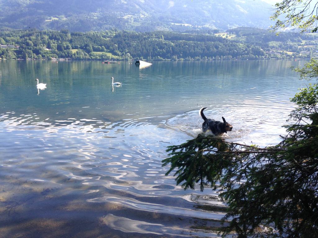 Ruhige Wohnung Mit Schoenem Eigengarten In Seeboden Am Millstaettersee Rom bilde