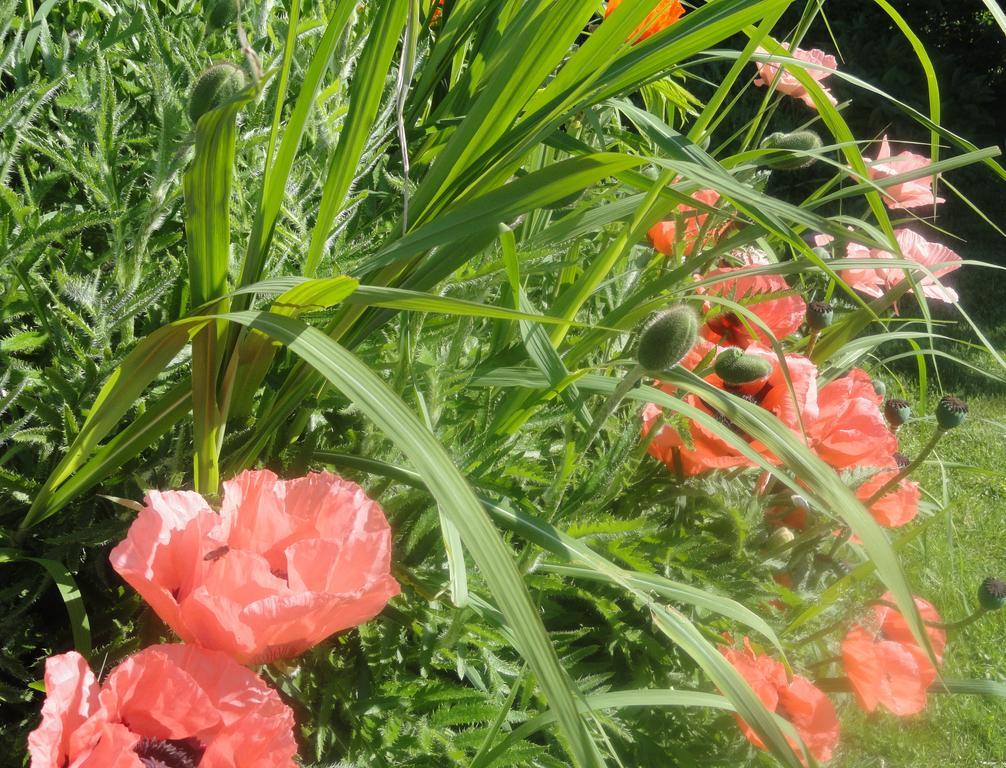 Ruhige Wohnung Mit Schoenem Eigengarten In Seeboden Am Millstaettersee Eksteriør bilde
